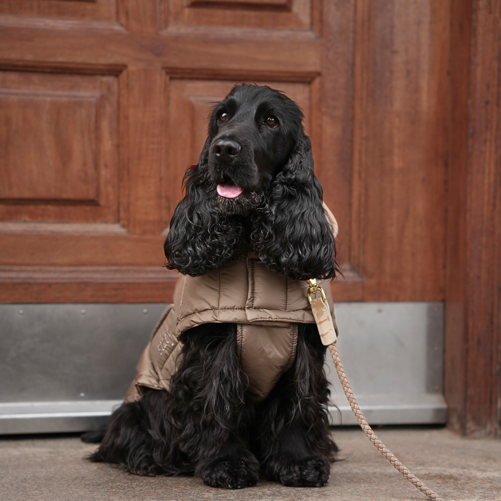 Manteau pour chien Nora | Taupe