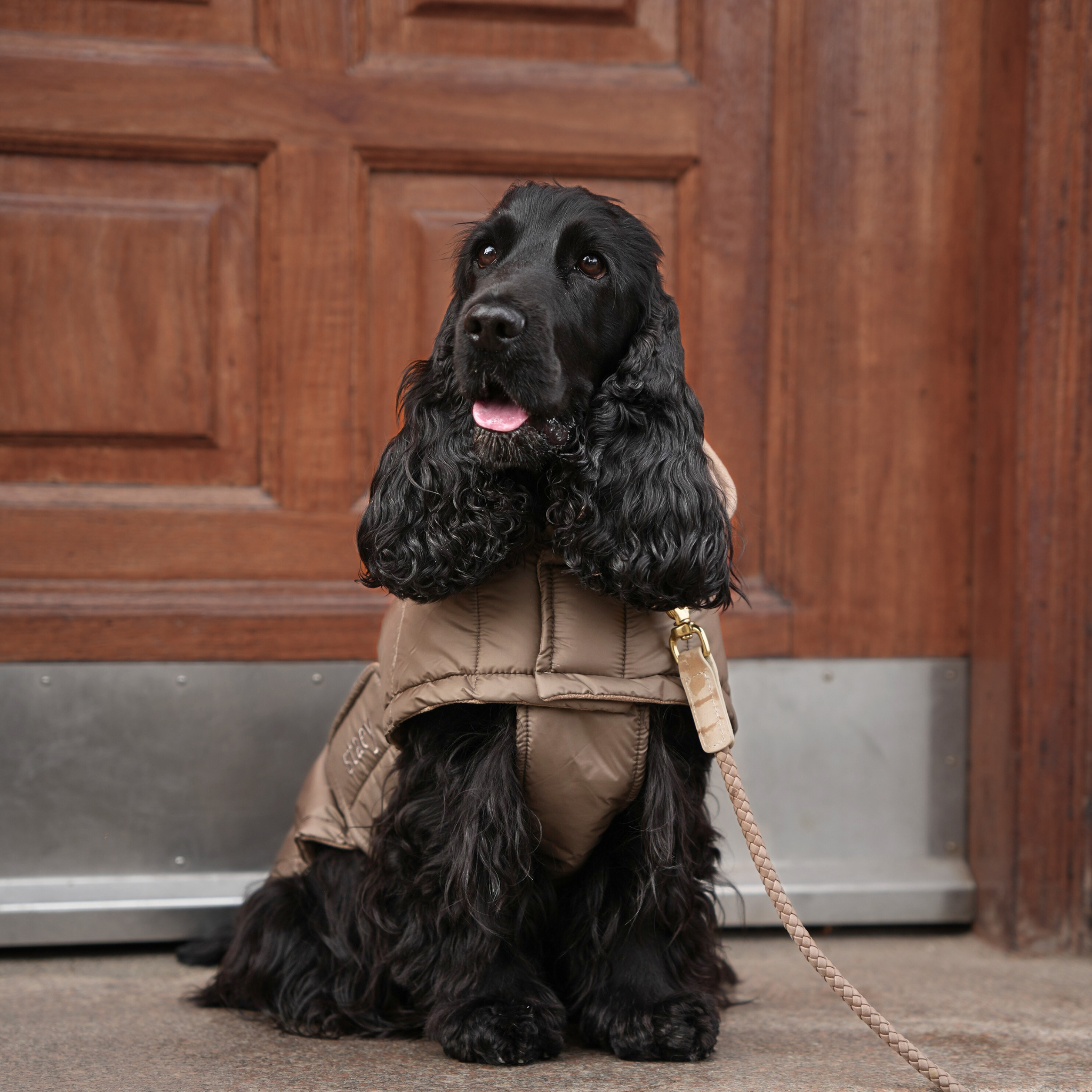 Manteau pour chien Nora | Taupe