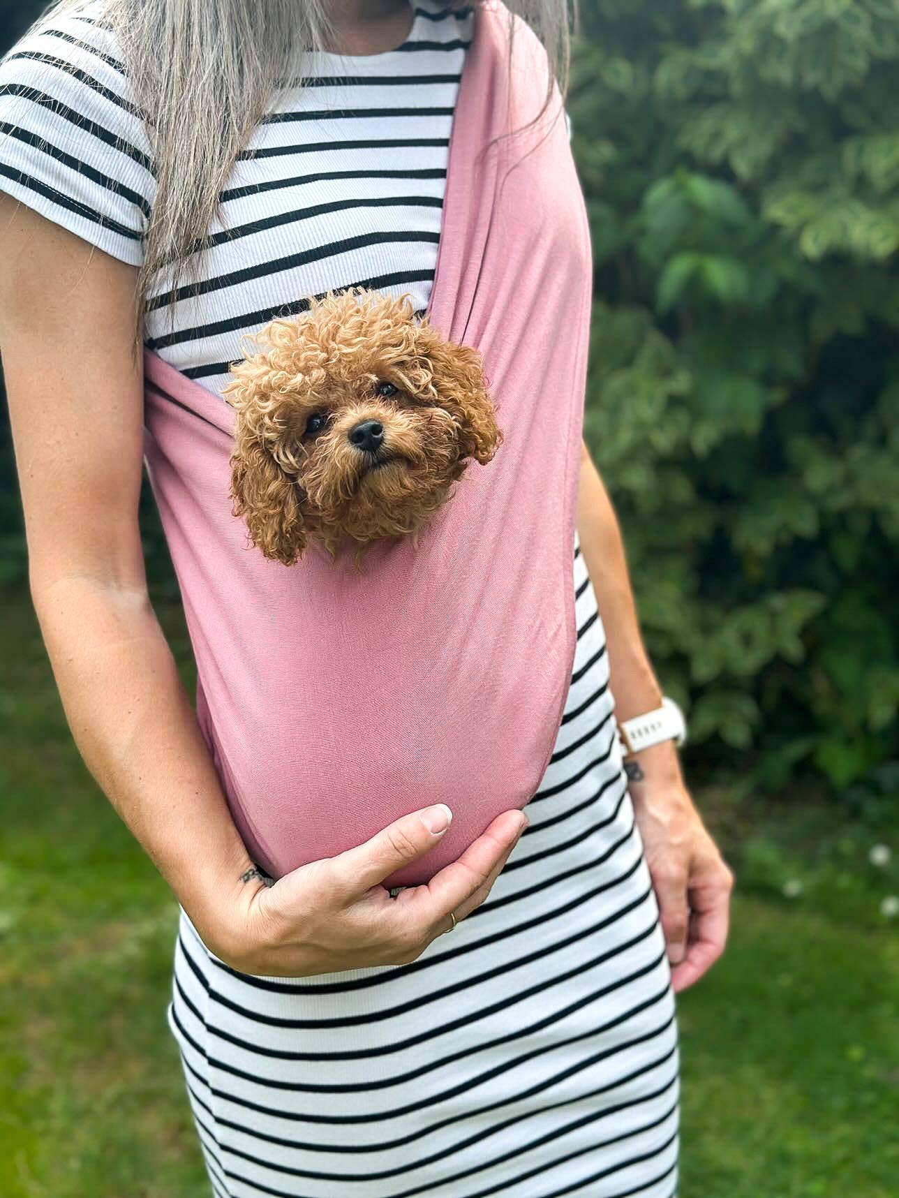 Écharpe légère pour chien