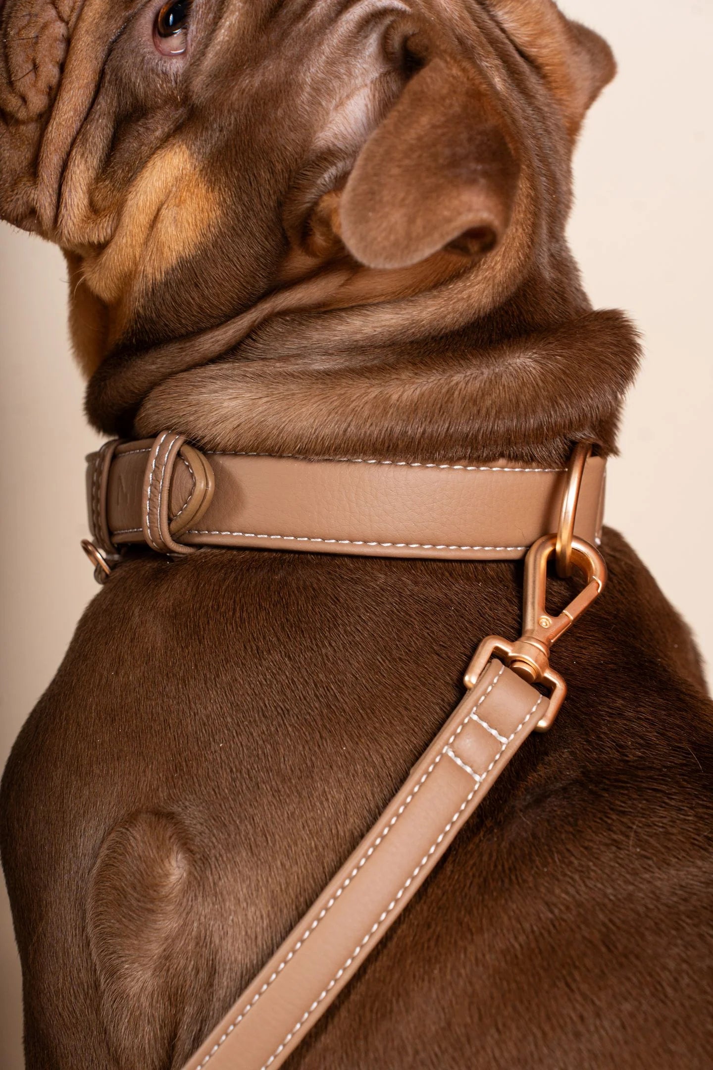 Collier Cuir Vegan - NINI
