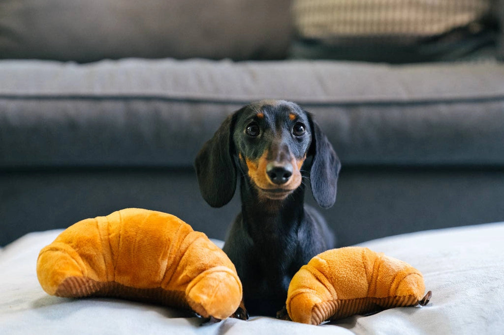 Croissant - P.L.A.Y