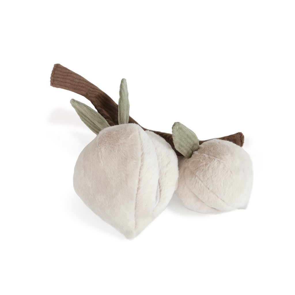 Pêches