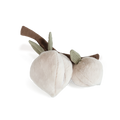 Pêches