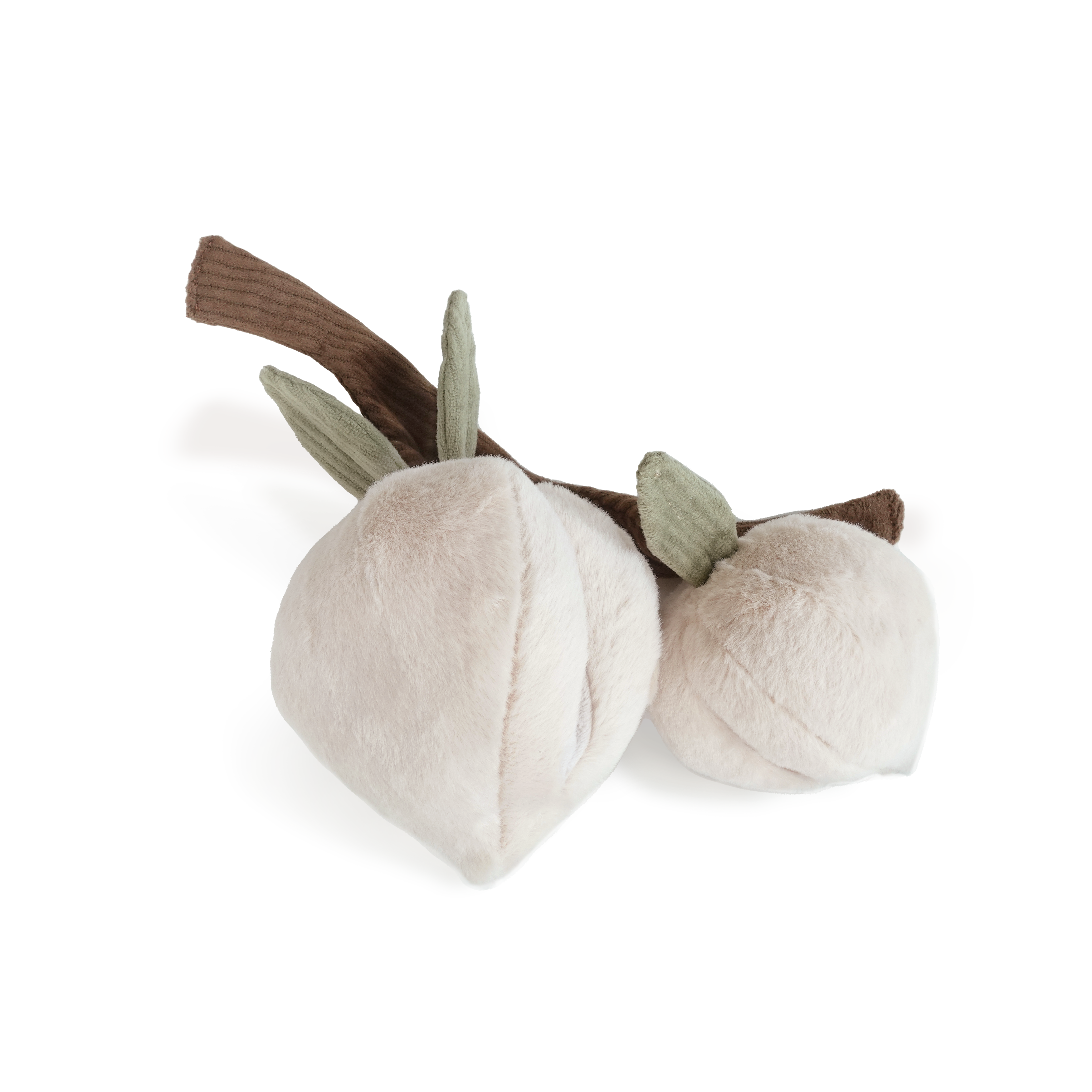 Pêches