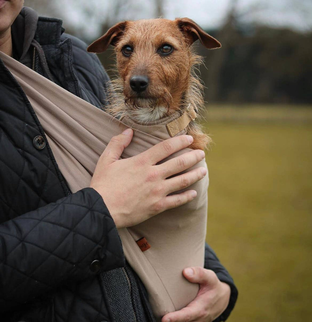 Écharpe légère pour chien