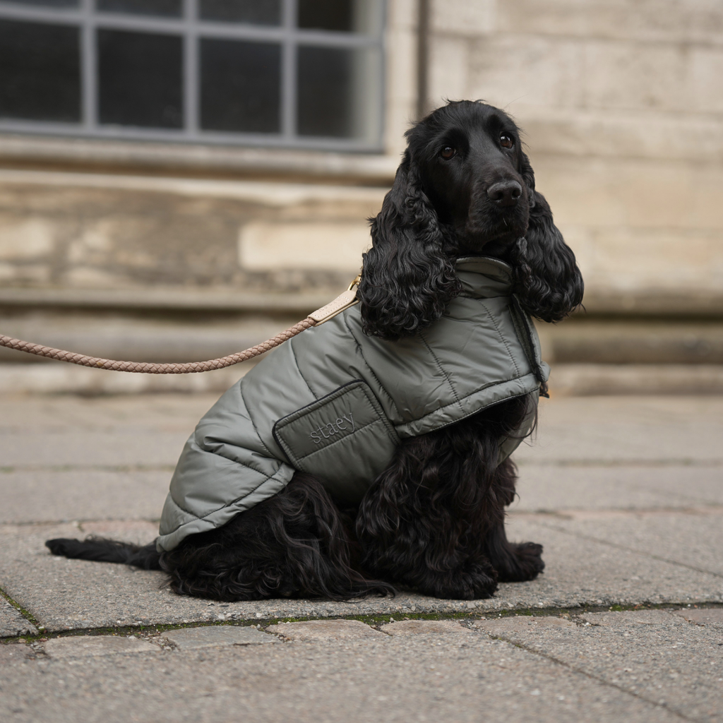 Manteau pour chien Nora | Vert mousse
