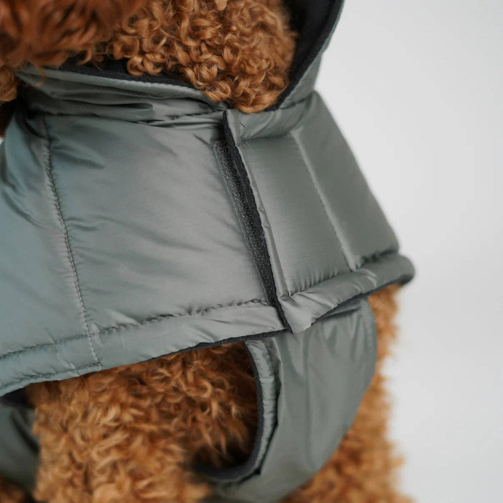 Manteau pour chien Nora | Vert mousse