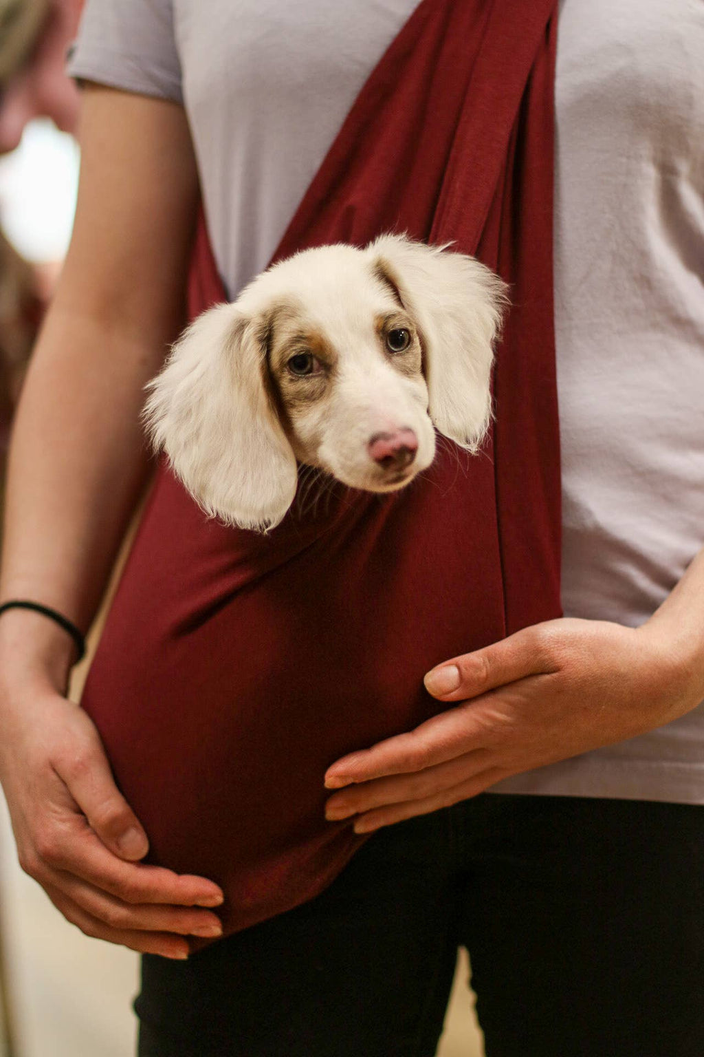 Écharpe légère pour chien