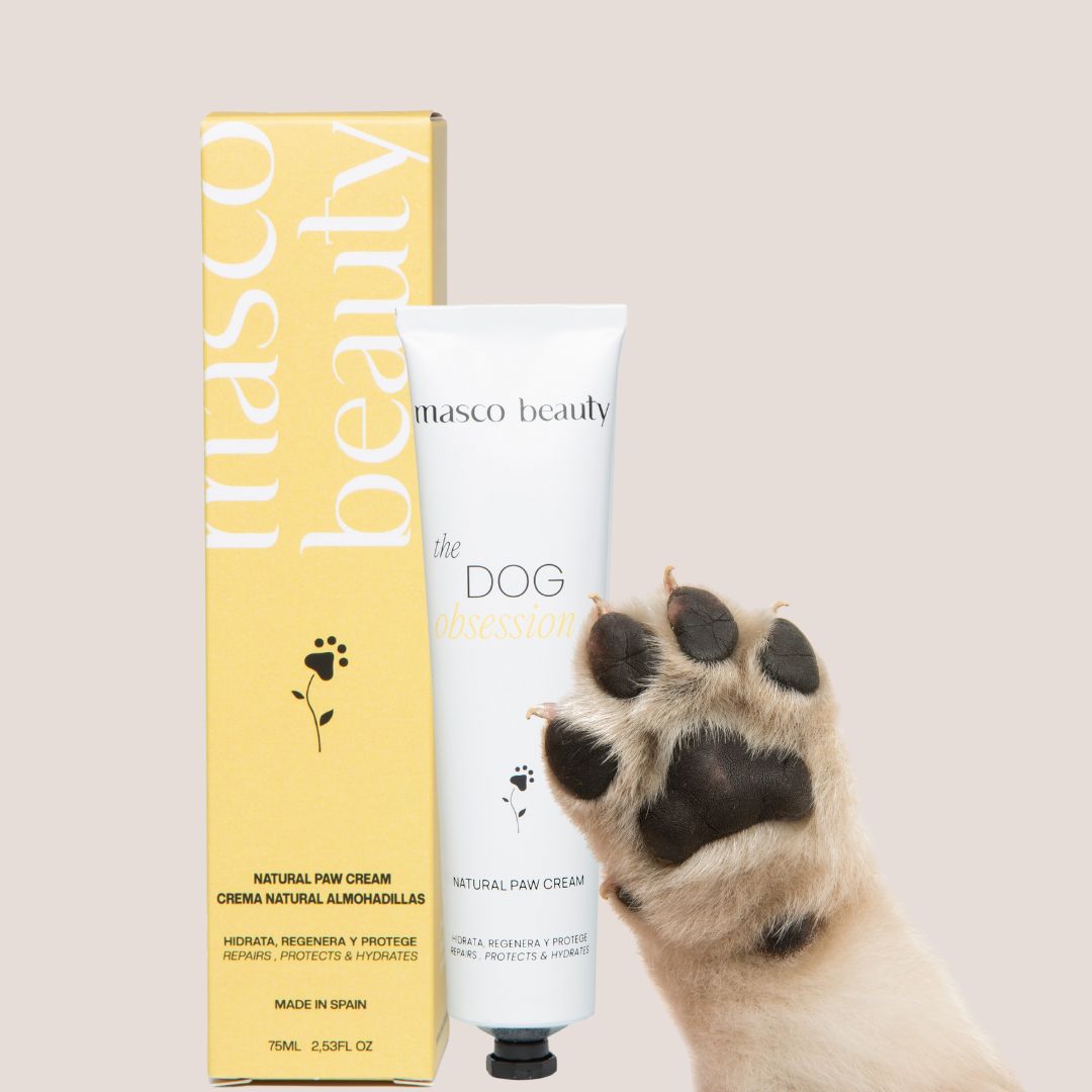 Crème pour coussinets MASCO BEAUTY