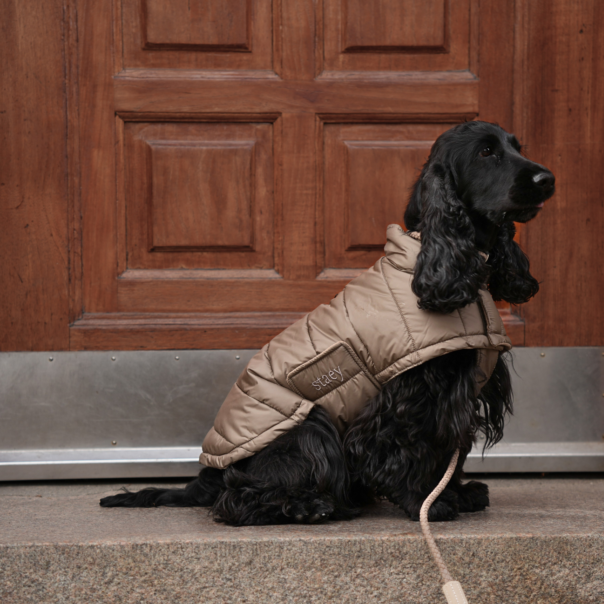 Manteau pour chien Nora | Taupe