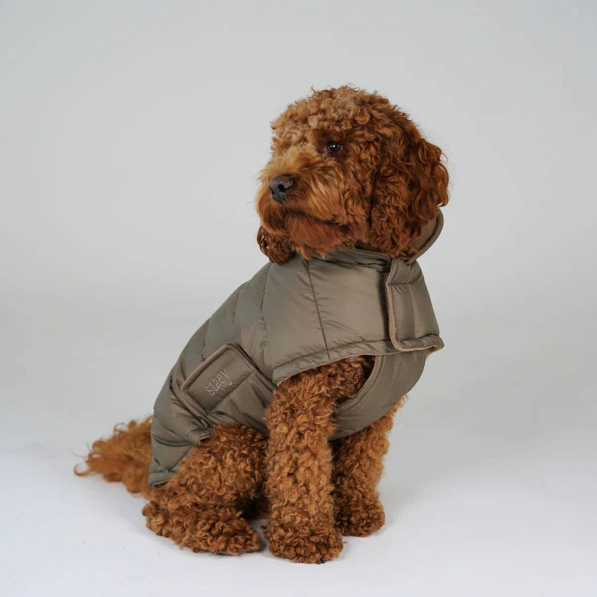 Manteau pour chien Nora | Taupe