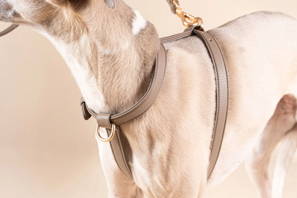 Harnais Cuir Vegan- NINI