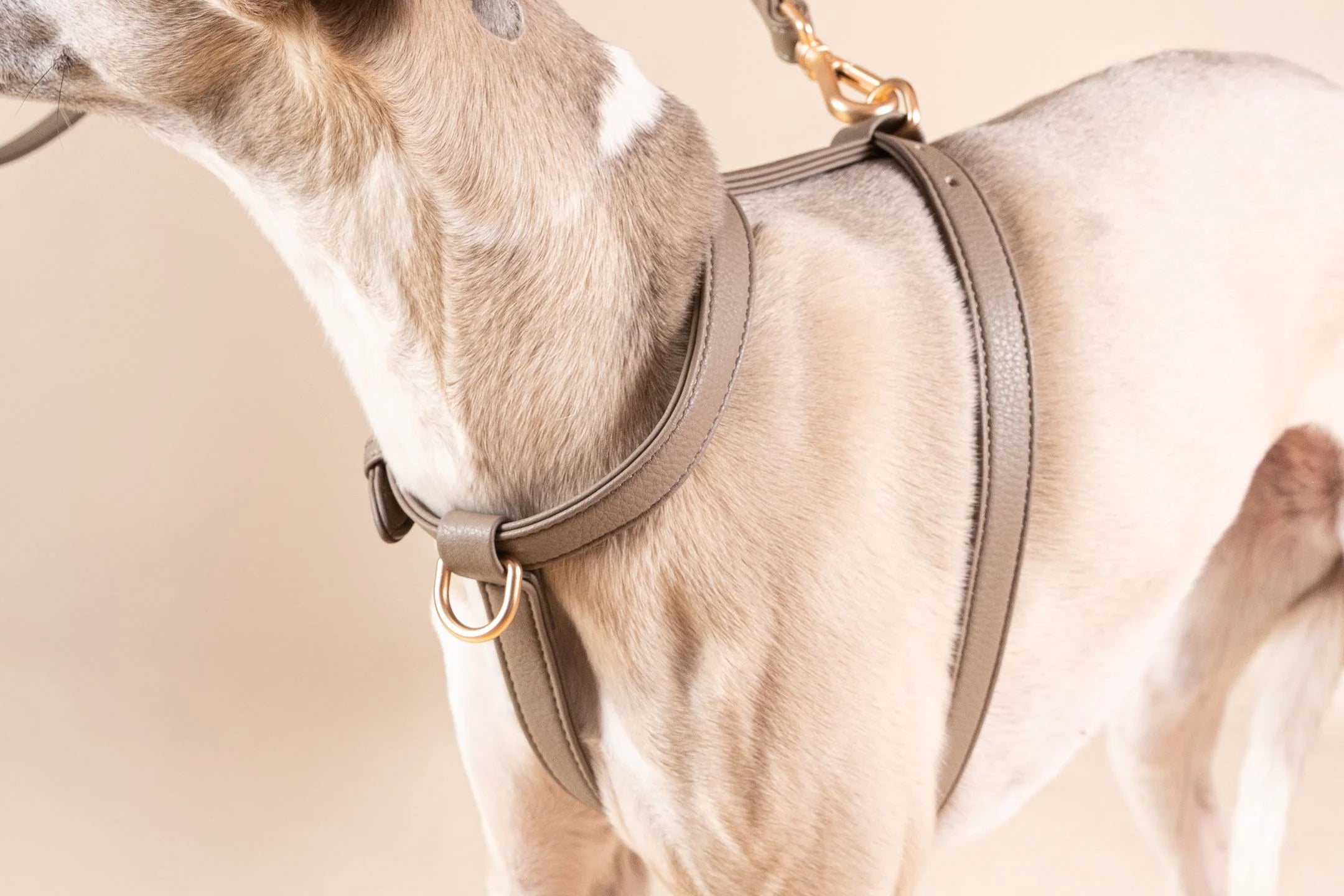 Harnais Cuir Vegan- NINI
