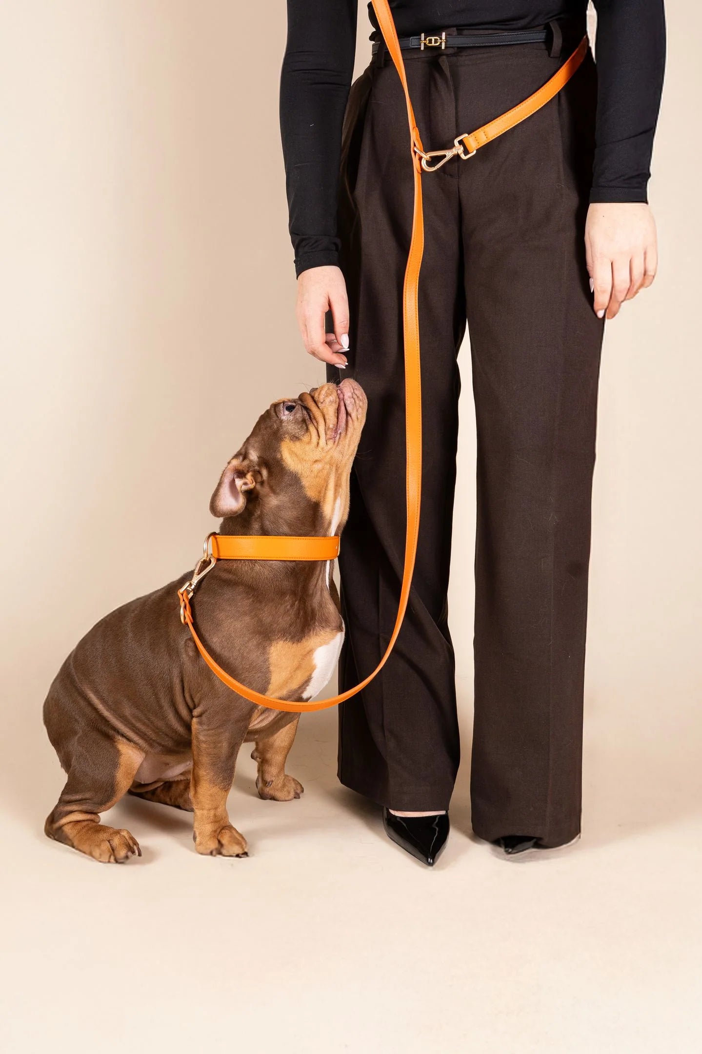 Laisse Cuir Vegan - NINI